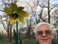 The Giant Daffodil and Roger